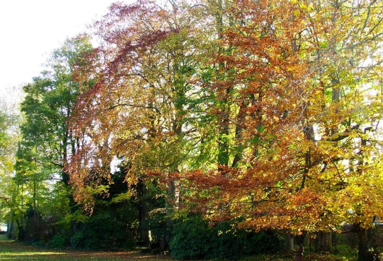 Maison Charmante A Ryes Avec Jardin Clos Et Acces Pmr Bagian luar foto